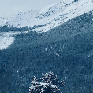 Meet your Posher, Paul